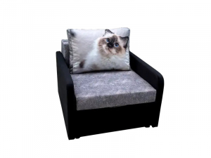 Кресло кровать Канзасик с подлокотниками кот голубые глаза